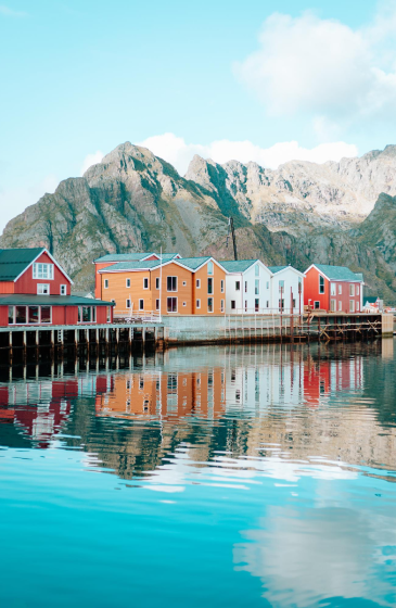 seo specialist in thrissur