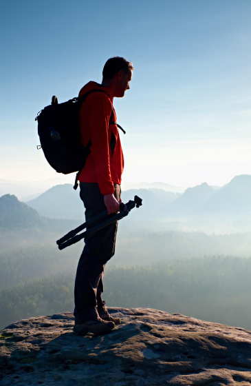 seo specialist in thrissur